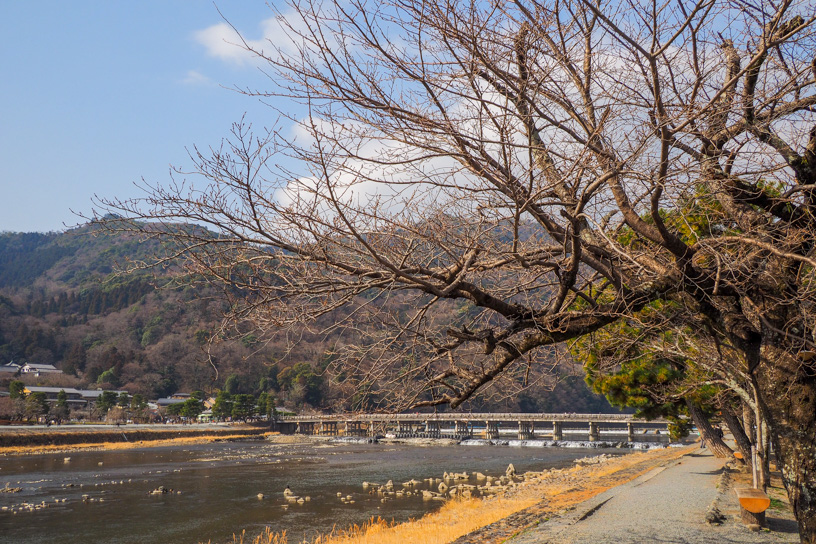 嵐山（撮影日：2022年3月5日）
