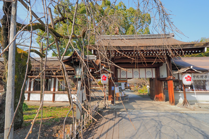 平野神社（撮影日：2022年3月5日）