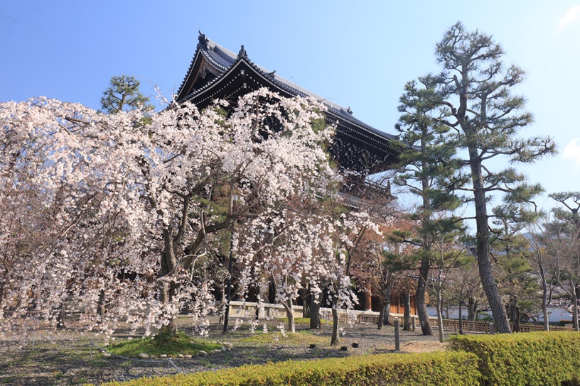 金戒光明寺（撮影日：2021年3月23日）