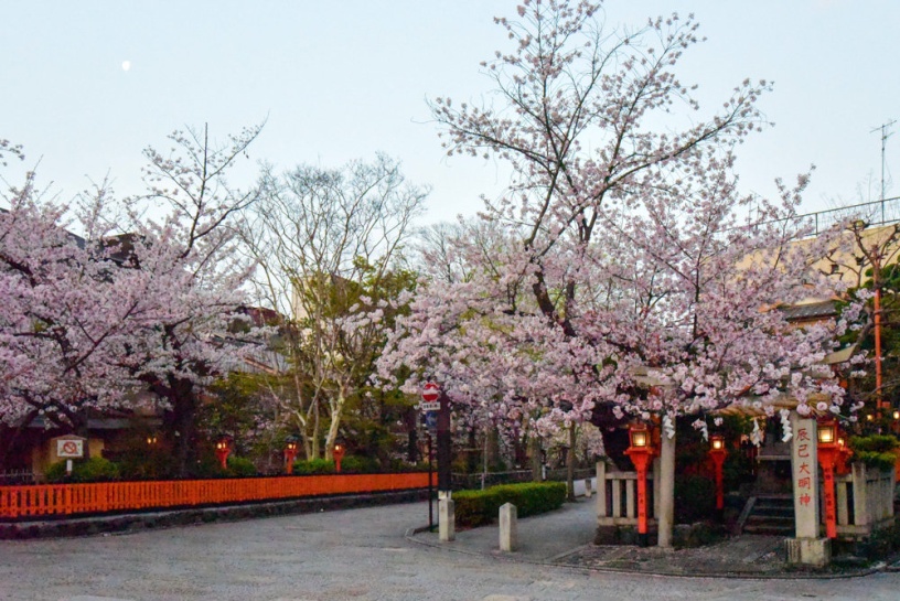 祇園白川（撮影日：2021年4月2日）