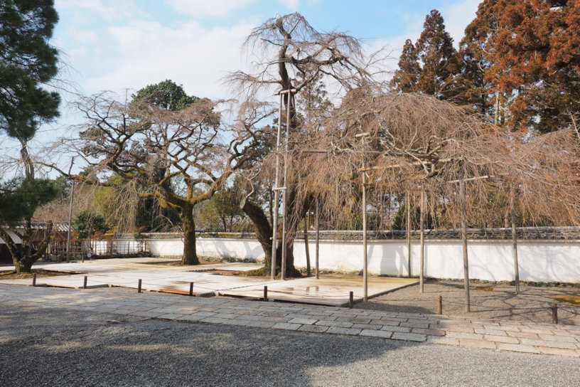 醍醐寺（撮影日：2022年3月5日）