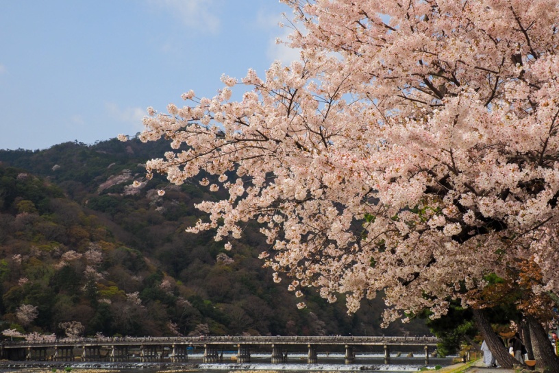 嵐山（撮影日：2021年3月29日）