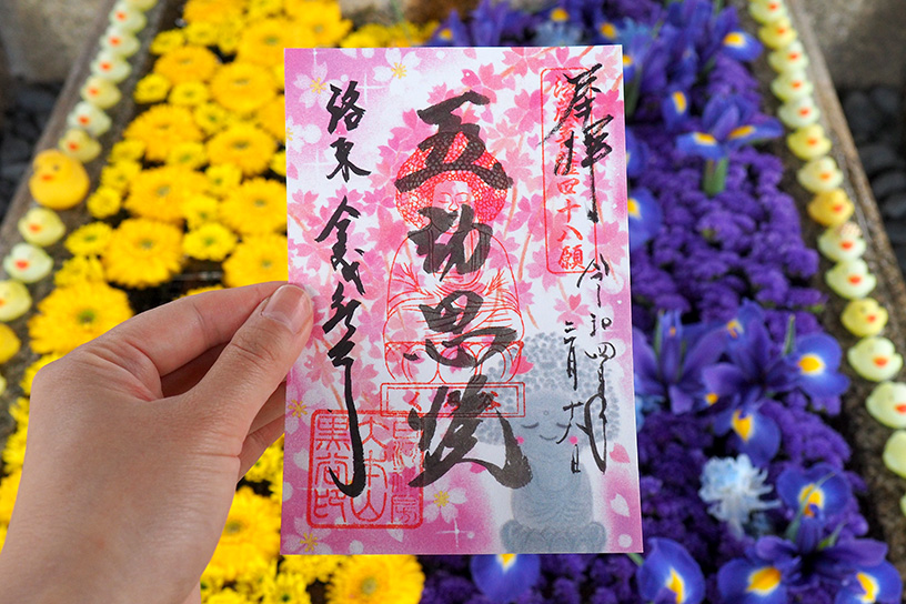 桜シーズン到来！ 京都・春の限定御朱印2022｜そうだ 京都、行こう。