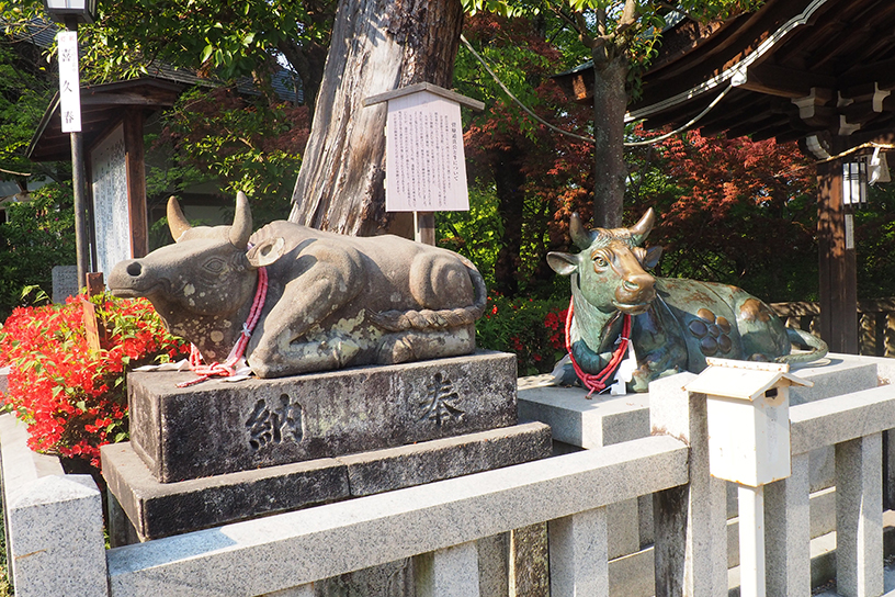 本殿横の牛象