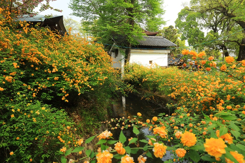 撮影日：2022年4月21日（木）