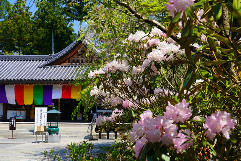 撮影日：2022年4月20日（水）