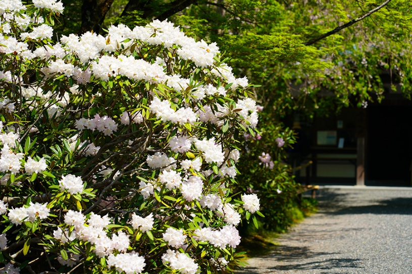 撮影日：2022年4月20日（水）