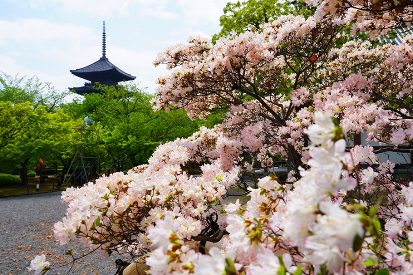 撮影日：2022年4月22日（金）