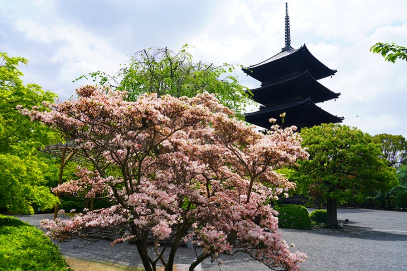 撮影日：2022年4月22日（金）