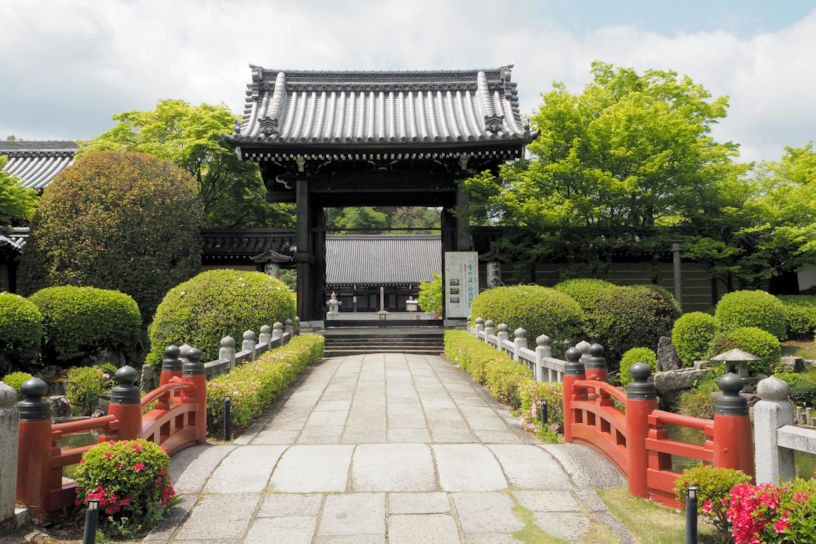 ツツジの開花前は、緑豊かです。