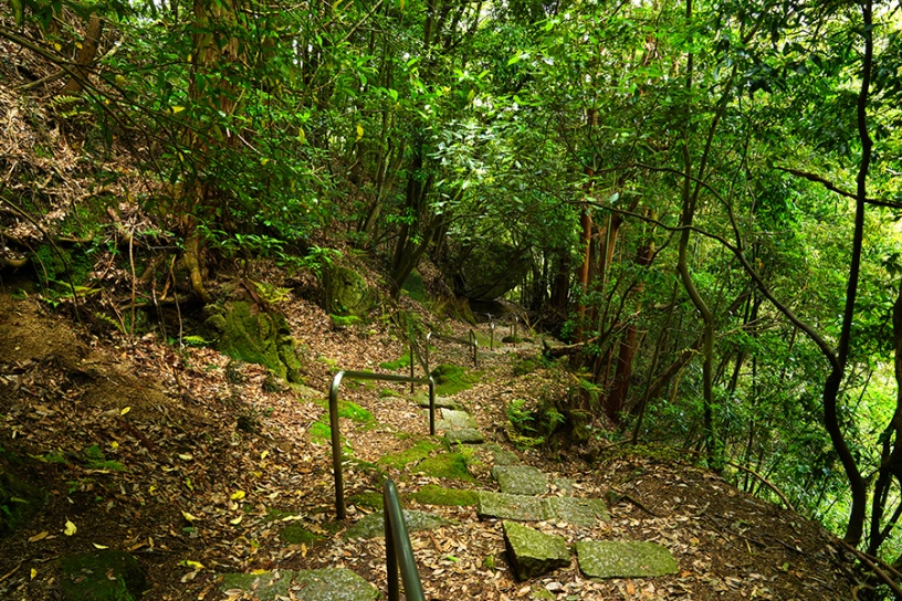 岩船寺～浄瑠璃寺間の最も“ハード”な区間。「下り坂」であることに救われます･･･