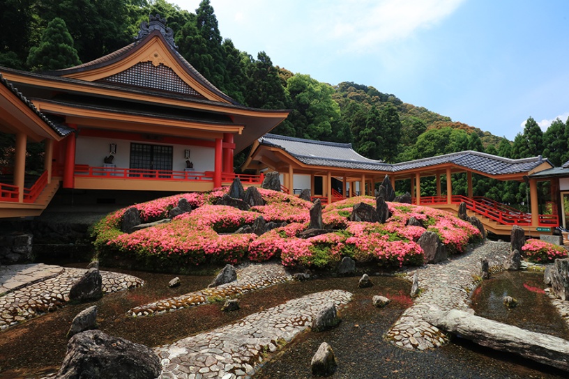 いま訪ねたい！ 京都・見頃の花名所（2022/5/27更新）｜そうだ 京都、行こう。