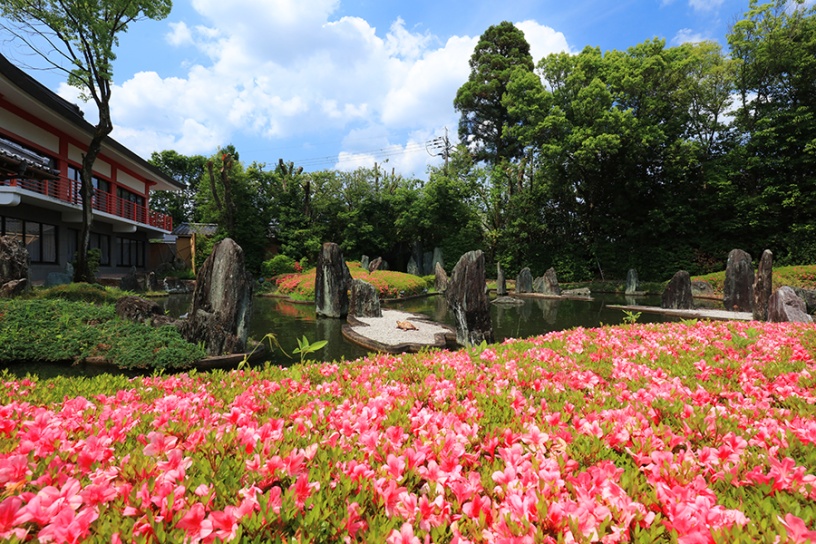 撮影日：2022年5月25日（水）