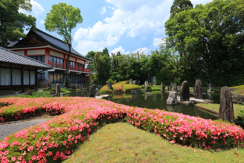 撮影日：2022年5月25日（水）
