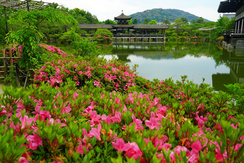 撮影日：2022年5月26日（木）