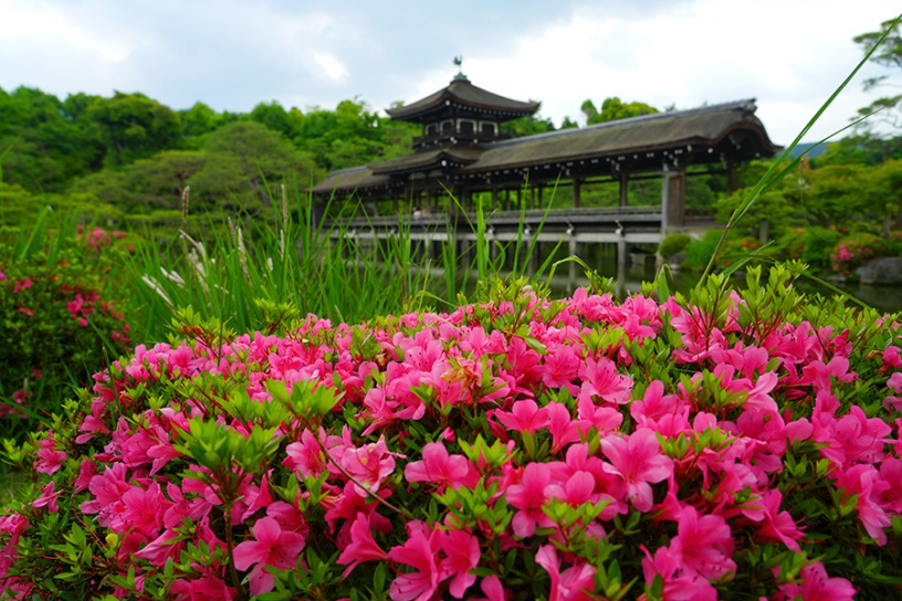 撮影日:2022年5月26日（木）