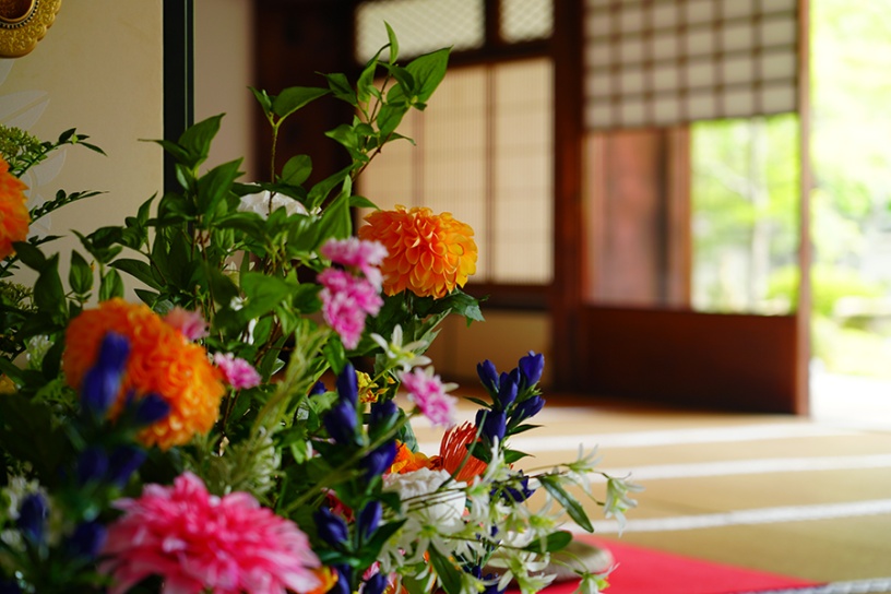 撮影日：2022年5月26日（木）