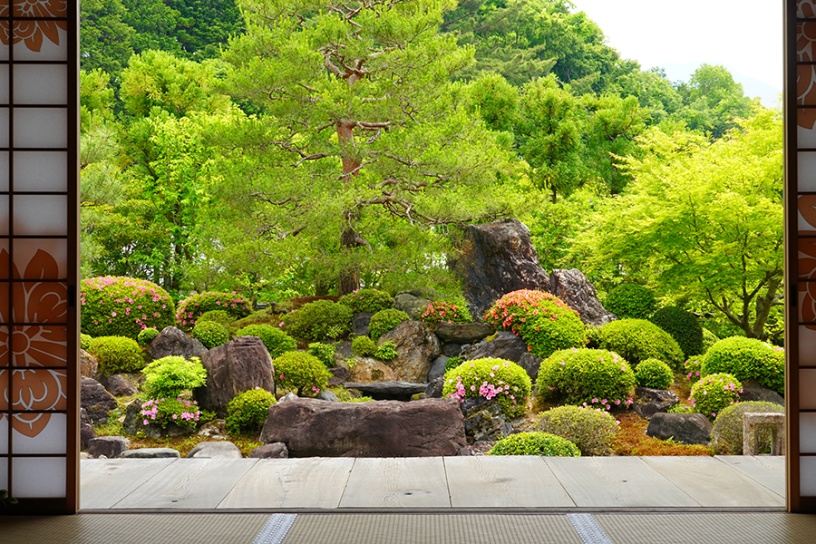 撮影日：2022年5月26日（木）