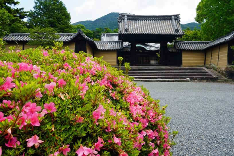 撮影日：2022年5月27日（金）