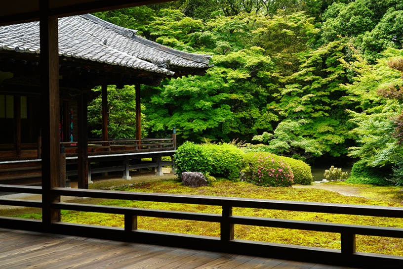 撮影日：2022年5月27日（金）