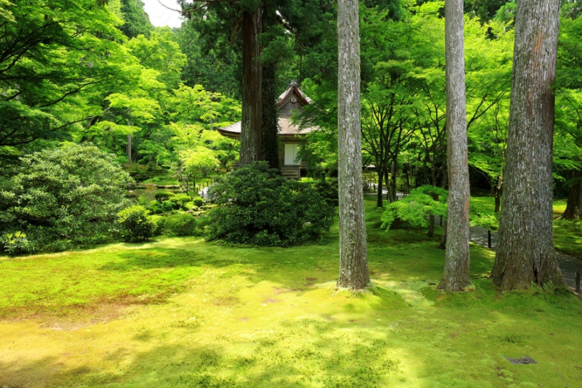 三千院