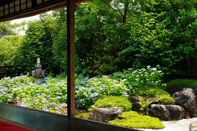 霊源院（撮影日：2022年6月10日）