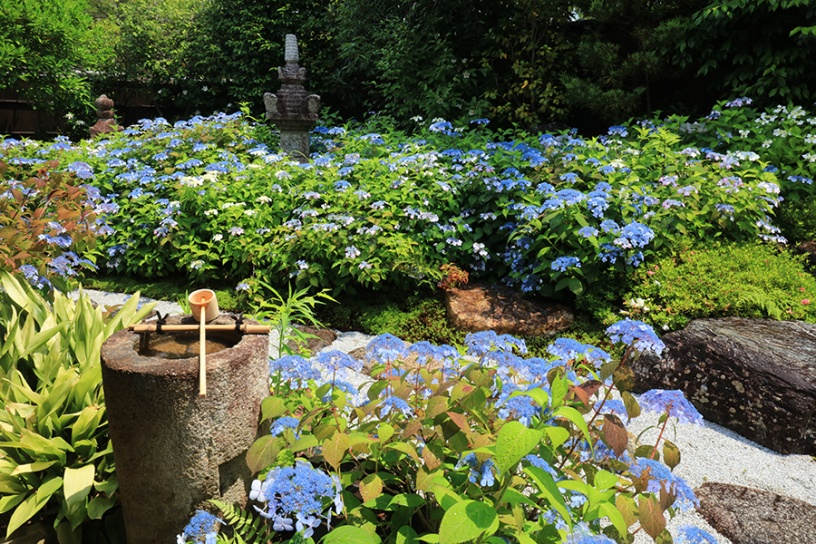 霊源院（撮影日：2022年6月10日）