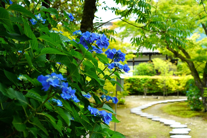 撮影日：2022年6月14日（火）