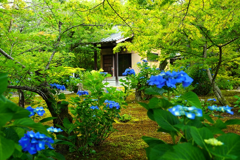 撮影日：2022年6月14日（火）