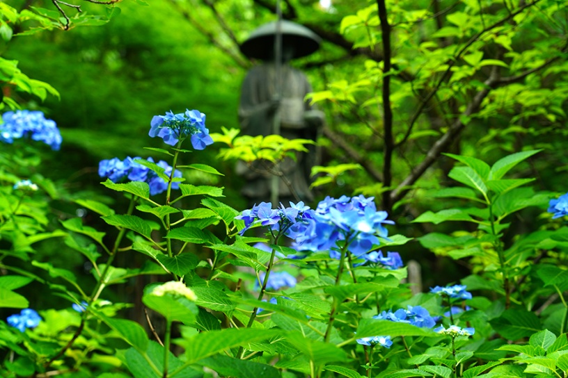 撮影日：2022年6月14日（火）