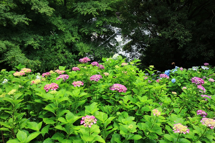 撮影日：2022年6月15日（水）