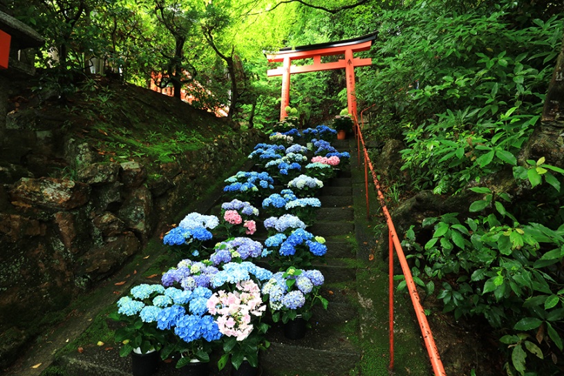 撮影日：2022年6月15日（水）