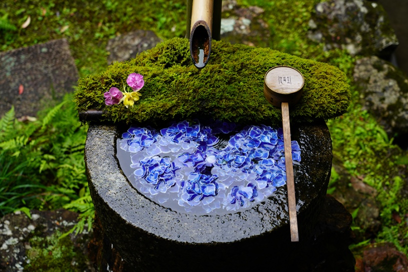 撮影日：2022年6月15日（水）