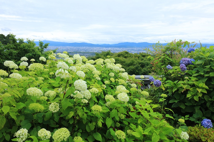 撮影日：2022年6月15日（水）