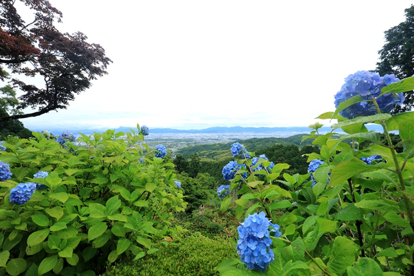 撮影日：2022年6月15日（水）