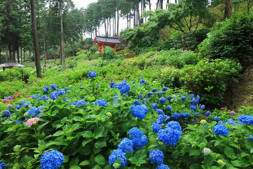 撮影日：2022年6月14日（火）