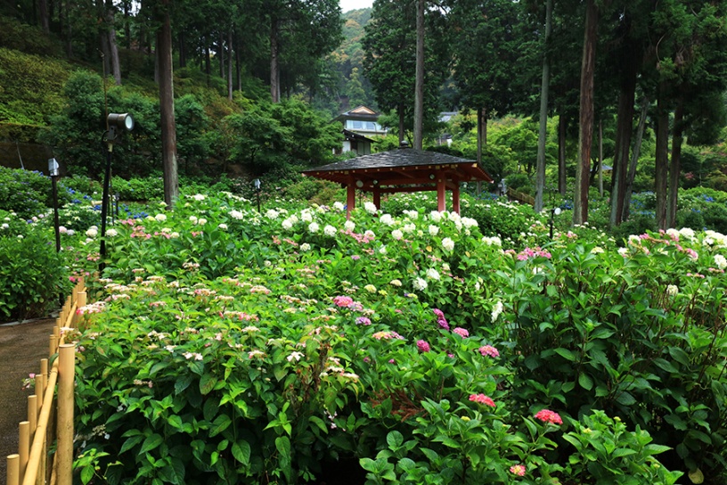 撮影日：2022年6月14日（火）