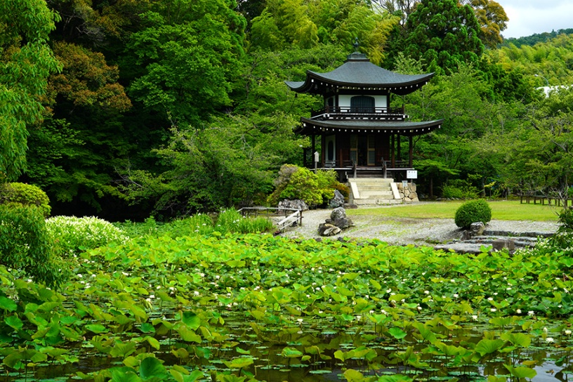 撮影日：2022年6月14日（火）