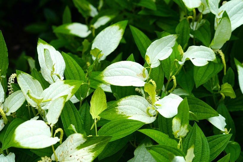 撮影日：2022年6月14日（火）