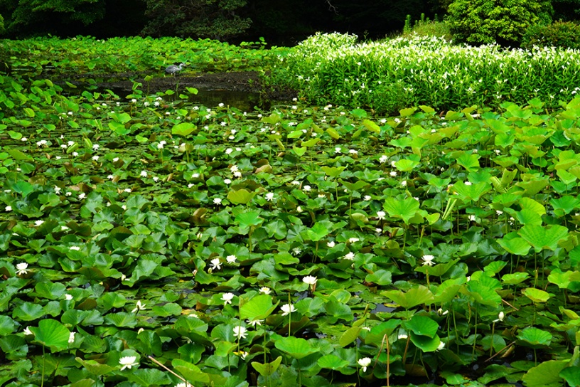 撮影日：2022年6月14日（火）