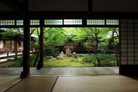 そうだ京都、行こう。 この季節の京都が好き。そう語る人の、その理由がいいんです