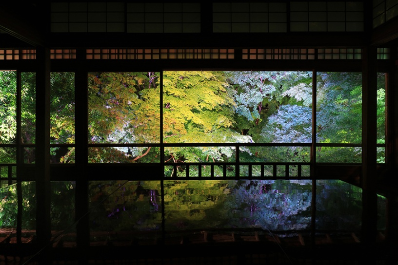 写真は試験点灯時の模様です