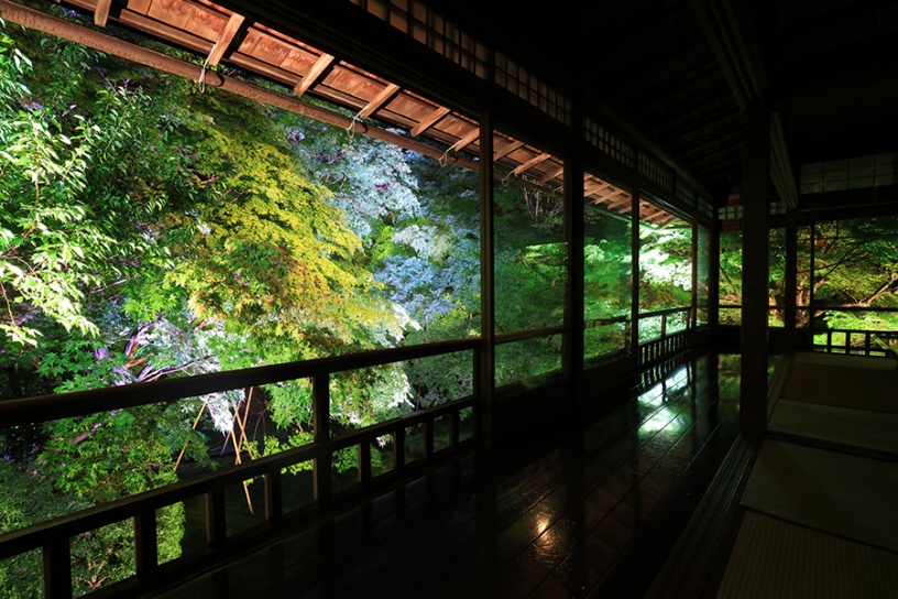 写真は試験点灯時の模様です