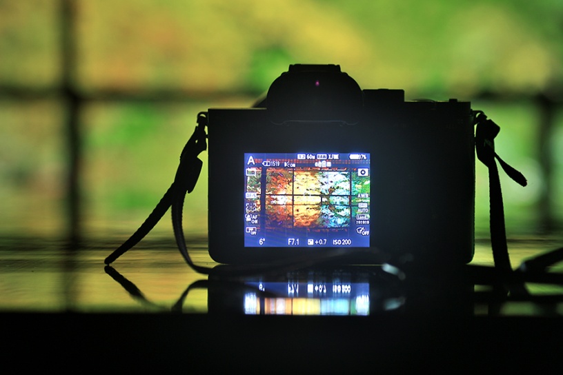 写真は試験点灯時の模様です