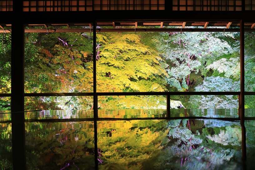 写真は試験点灯時の模様です