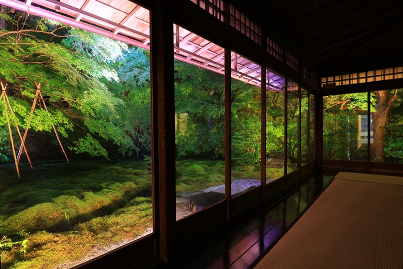 写真は試験点灯時の模様です