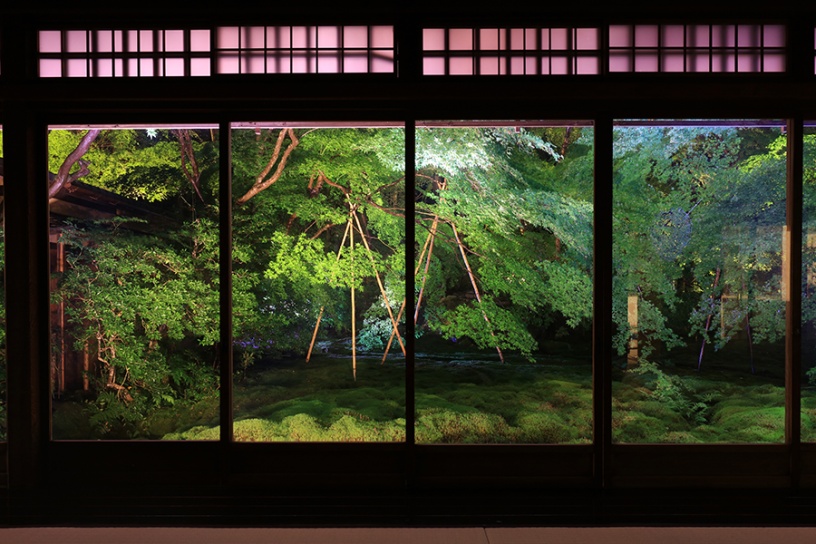 写真は試験点灯時の模様です