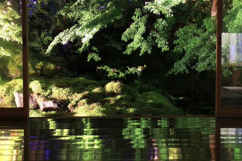 写真は試験点灯時の模様です