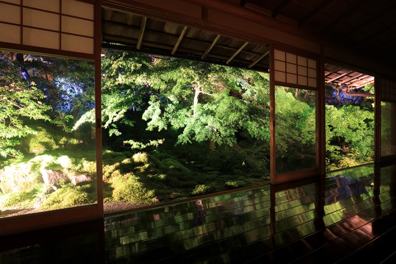 写真は試験点灯時の模様です