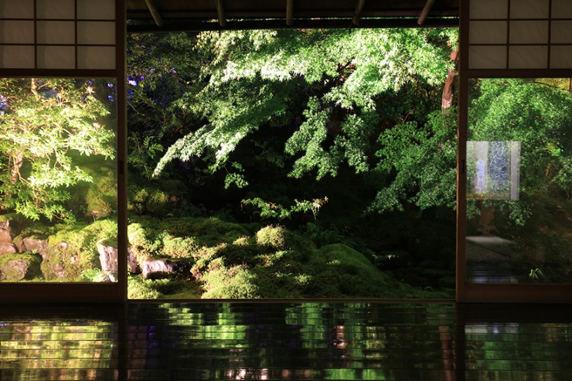 写真は試験点灯時の模様です